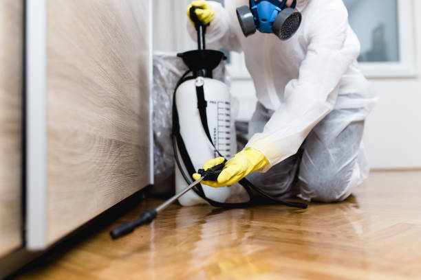 Best Pest Control Near Me in Berwyn, PA