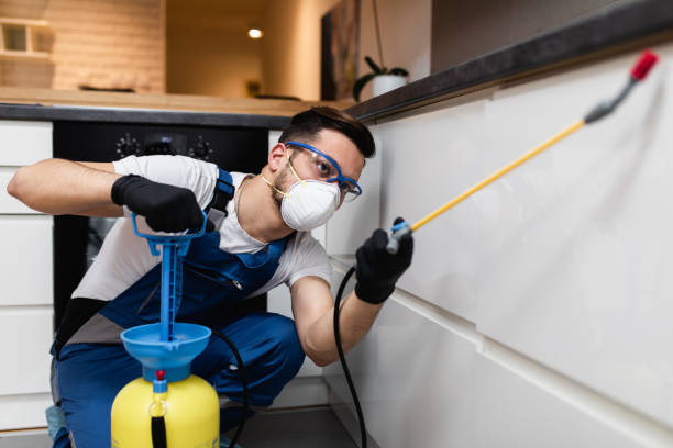 Best Cockroach Control Services  in Berwyn, PA