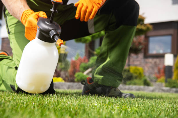 Pest Prevention Services in Berwyn, PA