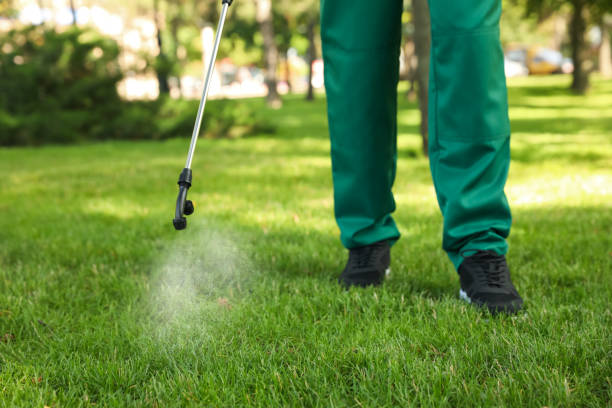 Pest Prevention Services in Berwyn, PA