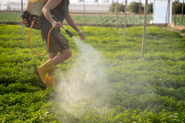 Best Pest Prevention Services  in Berwyn, PA