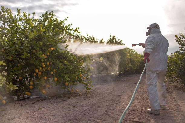 Best Insect Control  in Berwyn, PA