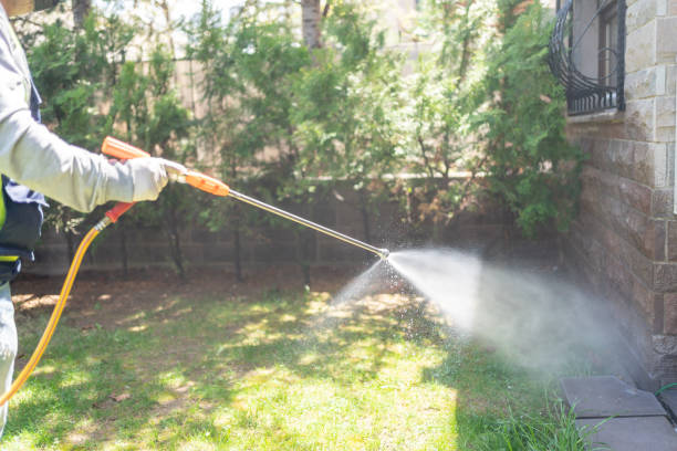 Insect Control in Berwyn, PA